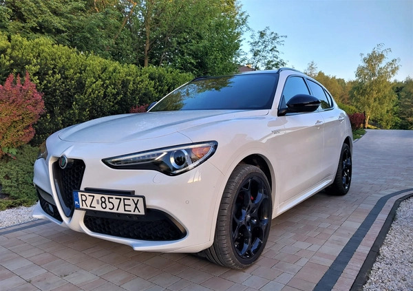 Alfa Romeo Stelvio cena 189000 przebieg: 11000, rok produkcji 2023 z Rzeszów małe 667